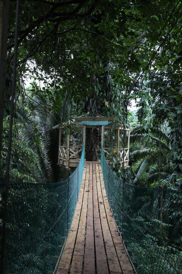Jade Jungle Resort Teakettle Village Exterior photo